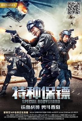 特种保镖2