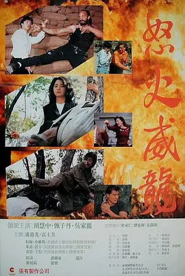 中国功夫