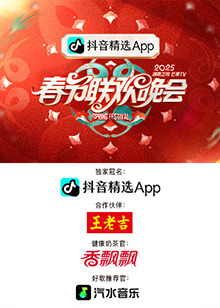 当流星划过天际