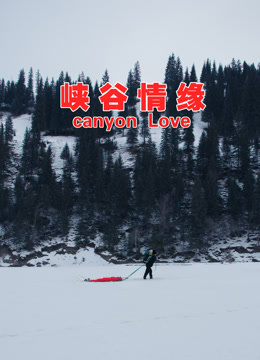 黑暗惊奇第一季