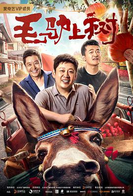 王小毛的奇幻人生