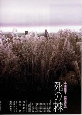 北京女子图鉴