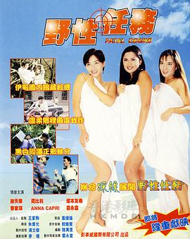 爱情梦幻号