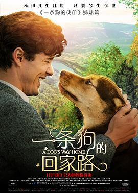 卧底2017