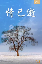 决战乌龙阵