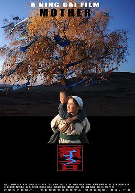 明星志愿2