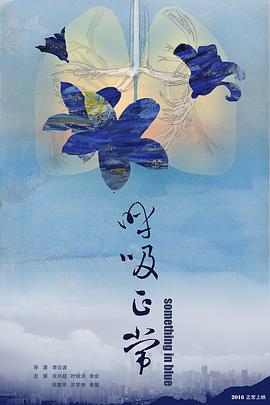 旋风管家OAD