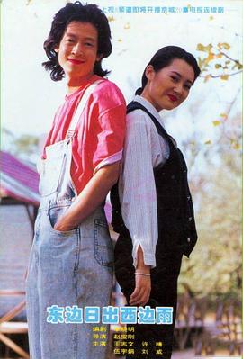 无名英雄粤语1977