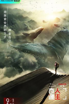 桥第二季