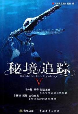 观光客