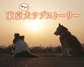 恐吓包裹