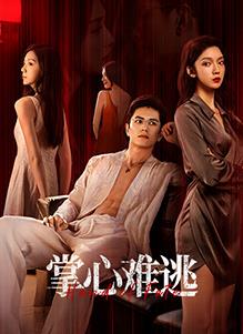 超级车手