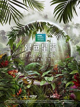 龙榜