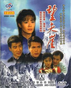 女霸总的贴身将军