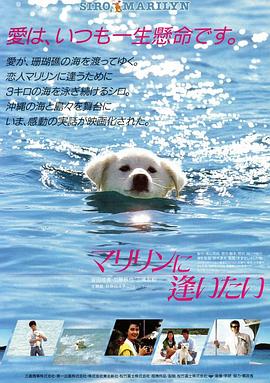 爱如星辰