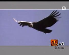 妈妈再看我一眼