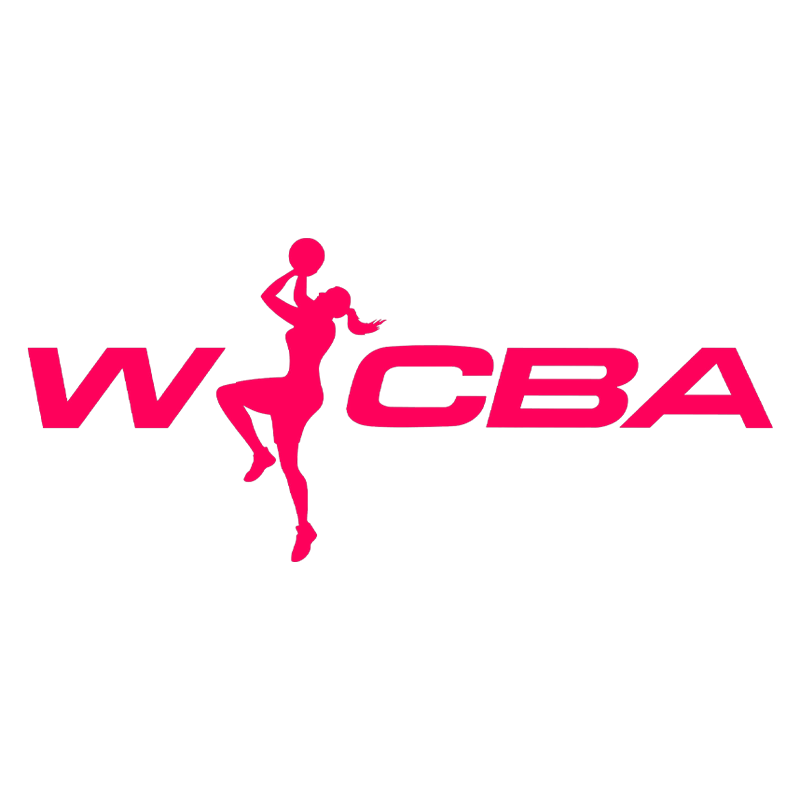 WCBA常规赛A组山西竹叶青酒vs东莞新彤盛20250307