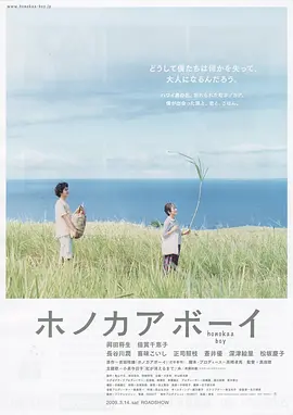 夏威夷男孩[电影解说]
