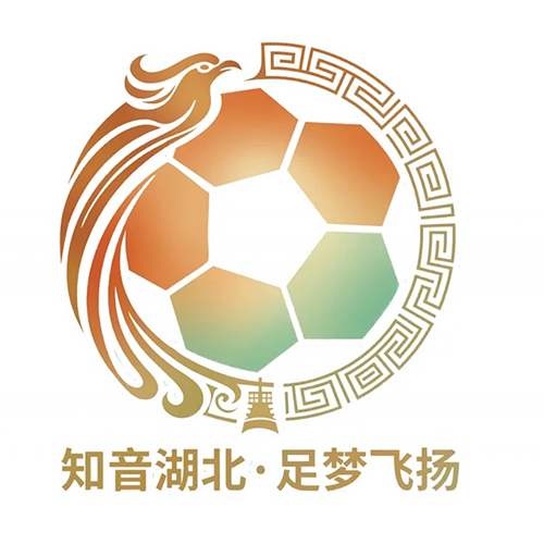湖北省城市足球联赛咸宁外星人队VS神农架队20260425