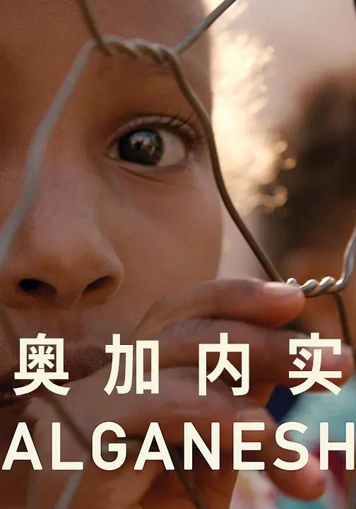 助理2019