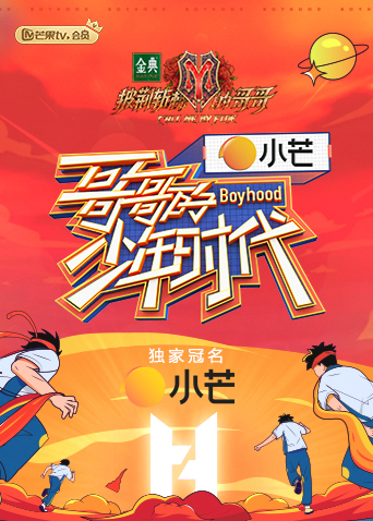 摩比小子大电影
