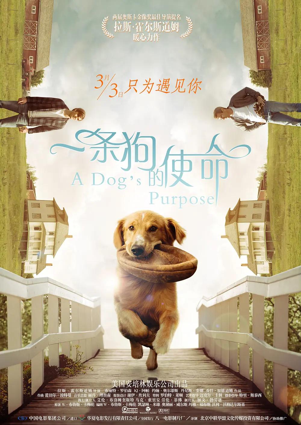 狂热TheFanatic