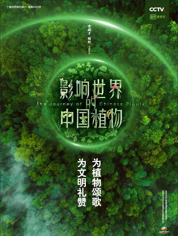 永生不死：英伦摇滚的沉浮