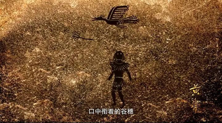 月亮花