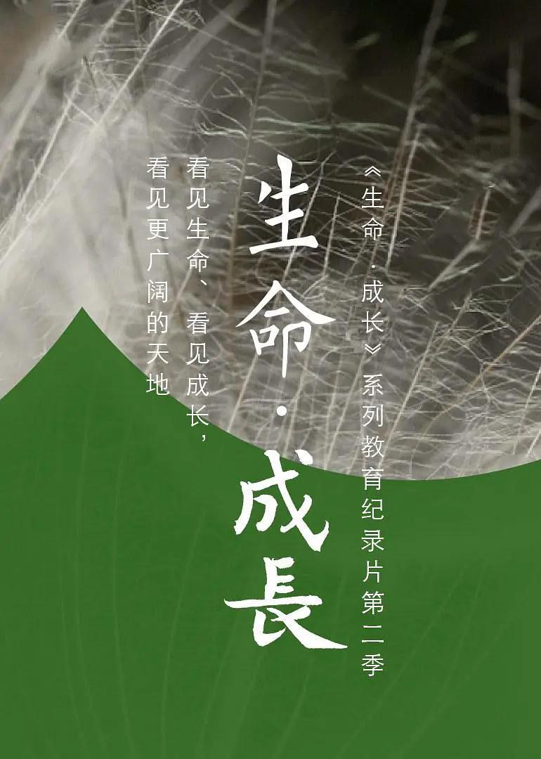 月亮是太阳做的梦
