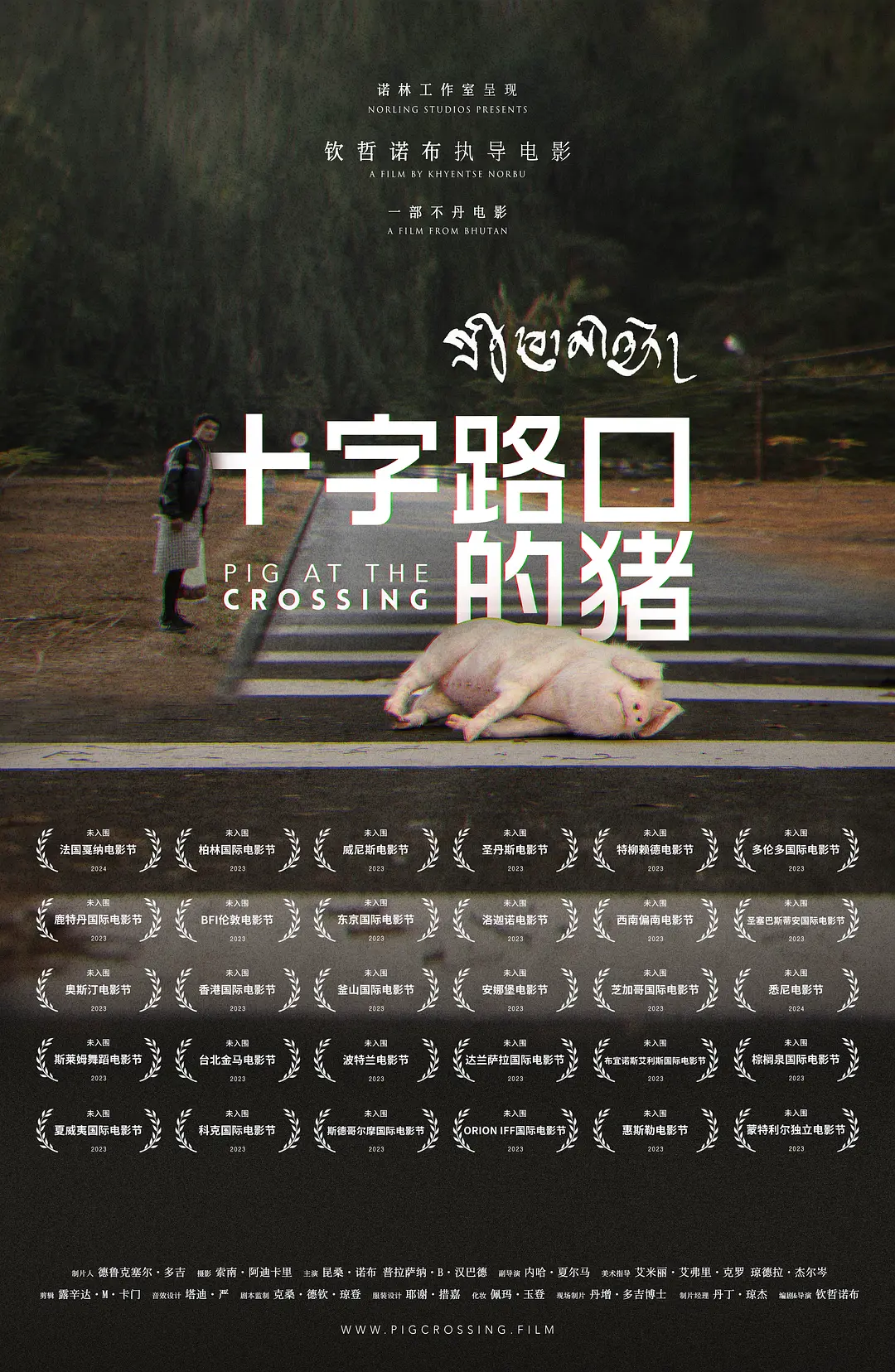初来乍到第五季