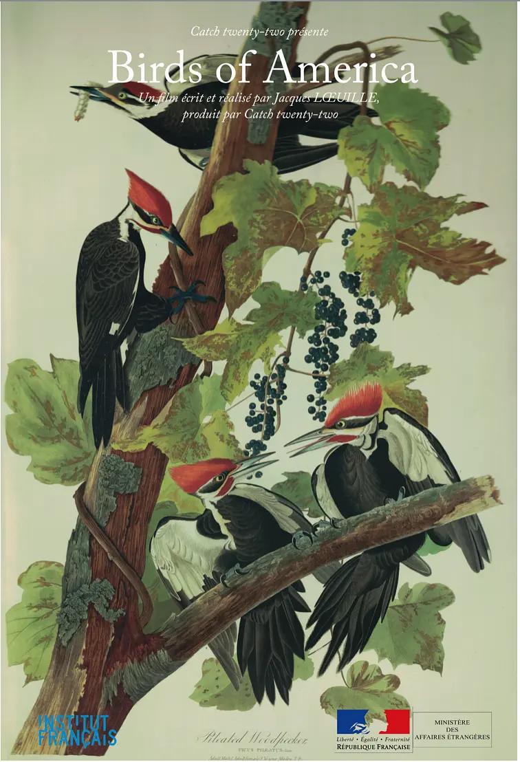 馈