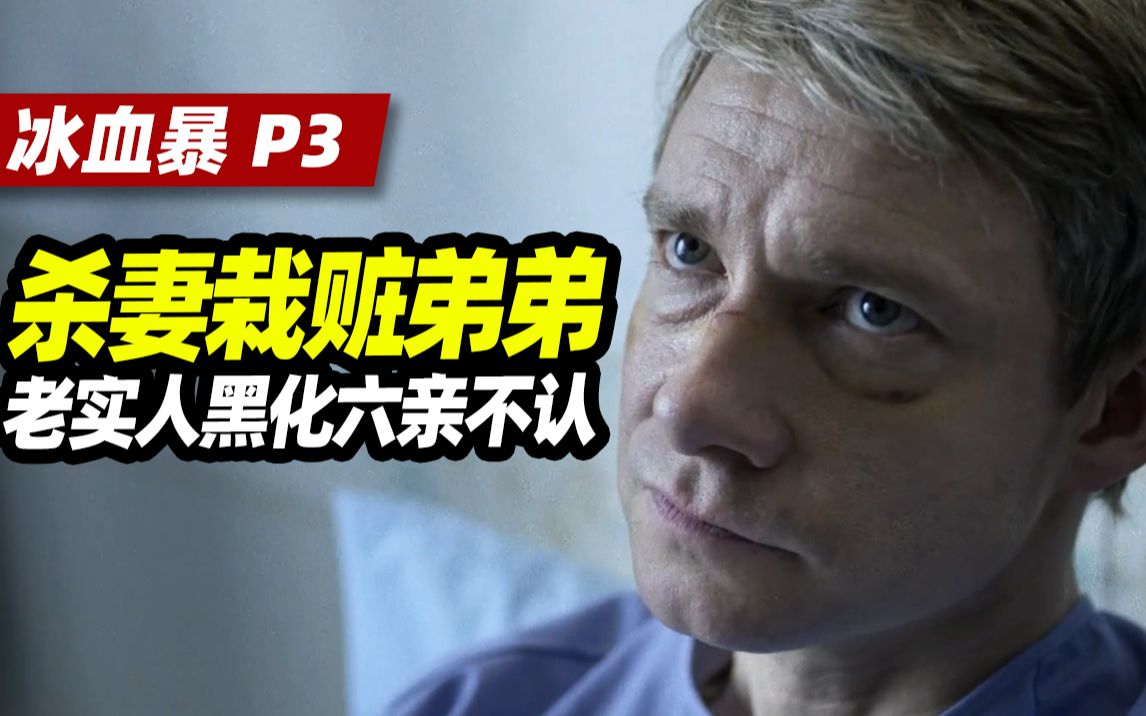 【扁豆】杀妻栽赃弟弟，老实人黑化六亲不认！《冰血暴》第一季P3