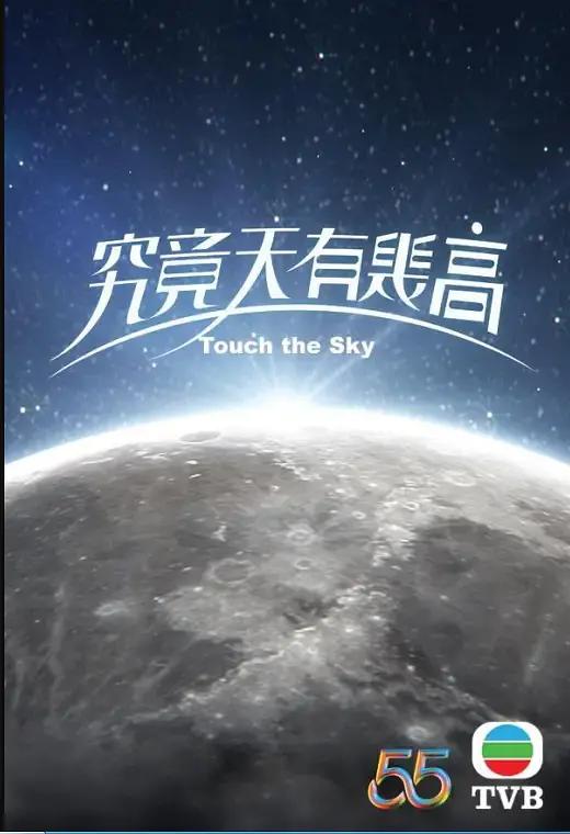 MSS特别搜查队