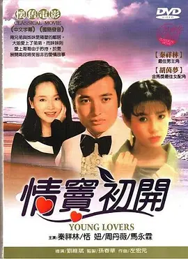 亲爱的翻译官未删减版