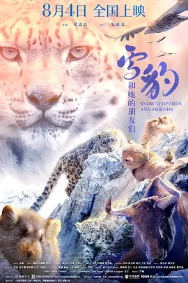 我所向往的职业啊