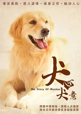 宁静的世界