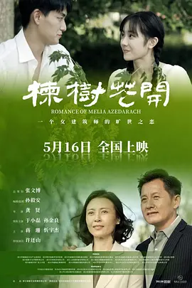 一口气看完13集《最后的棒棒》：中国最接地气的纪录片