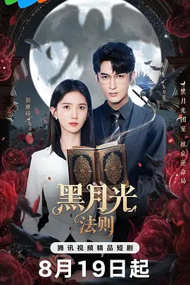 《逆风之子》PrinceofStorm王合喜、尹天照、张慧仪等主演