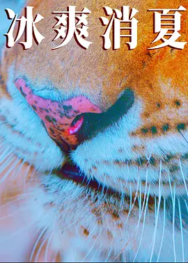 机密档案